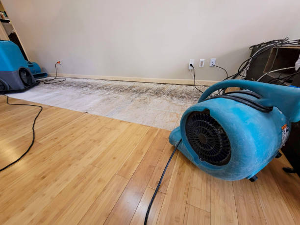 Professional Structural Drying technician working in Streeter, ND